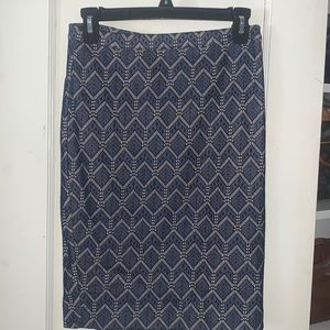 The Limited- Pencil Skirt
